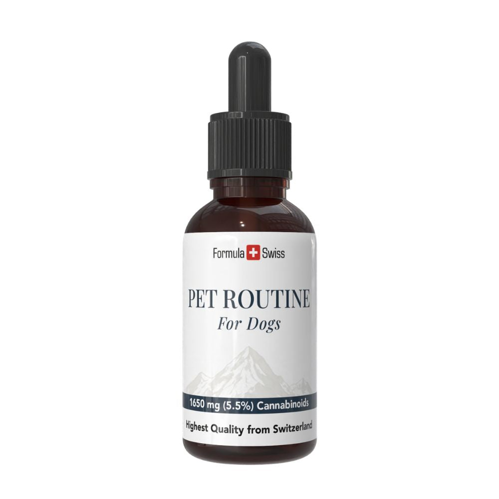 Bottle of 'Pet Routine for Dogs' with a white label on a white background