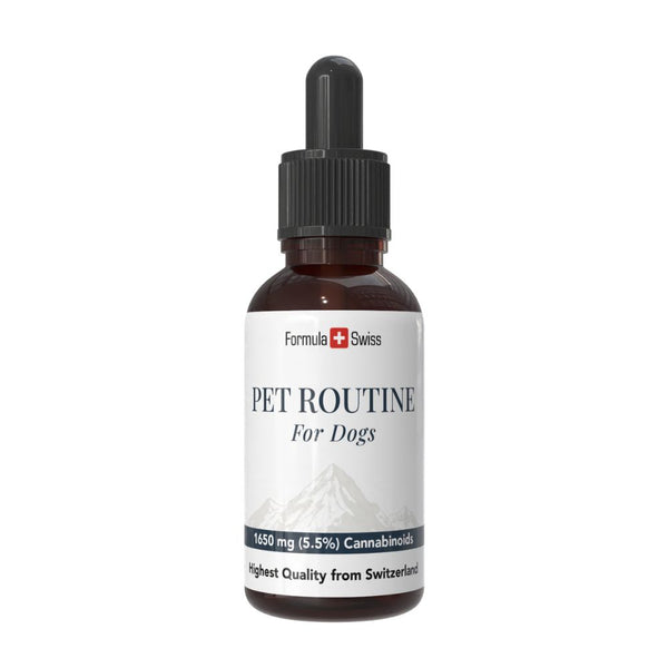 Bottle of 'Pet Routine for Dogs' with a white label on a white background
