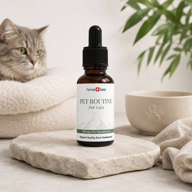 Formula Swiss Pet Routine CBD oil for cats in an amber dropper bottle, displayed beside a grey tabby cat and pet bowl.