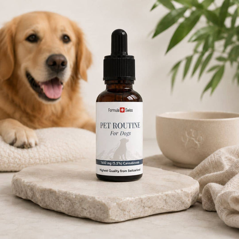 Formula Swiss Pet Routine CBD oil for dogs in an amber dropper bottle, displayed beside a golden retriever and pet bowl.