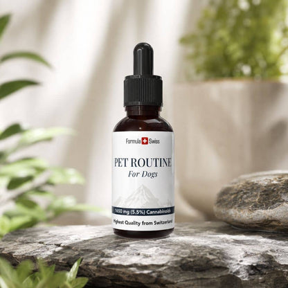 Bottle of 'Pet Routine for Dogs' on a stone surface with plants in the background