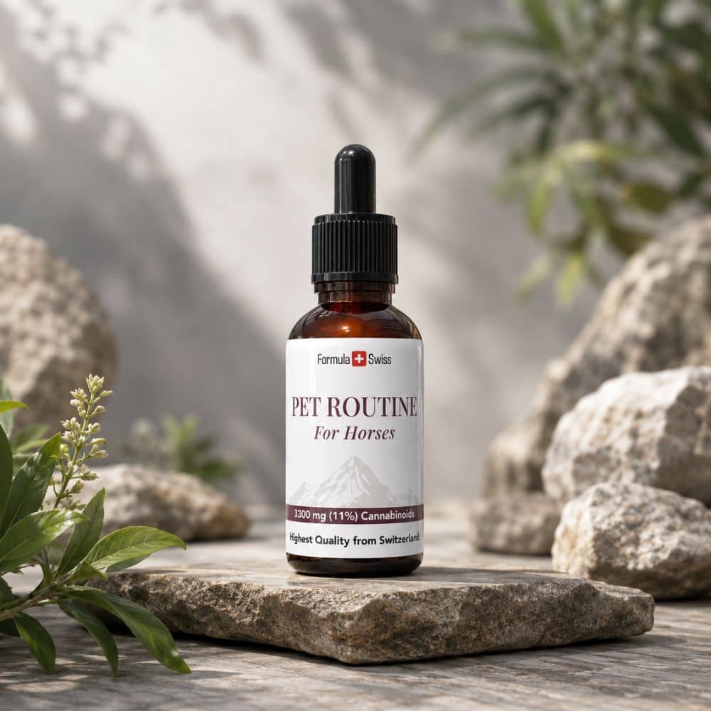 Bottle of 'Pet Routine for Horses' on a stone surface with natural background